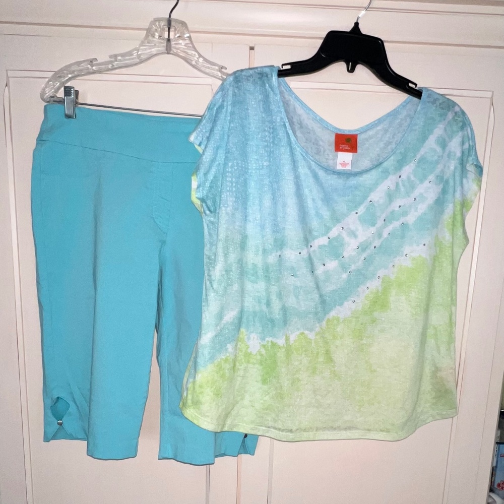 Hearts of Palm set. Burnout sheer top sz XL and Aqua stretch capris sz 14